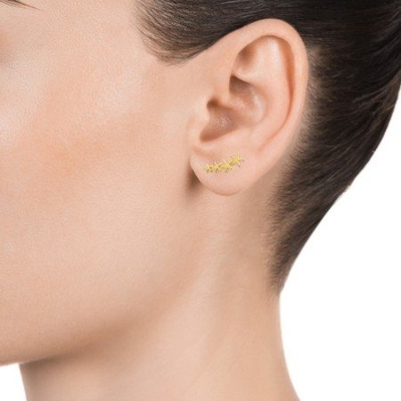 Pendientes Viceroy 5065E100-08 Multi estrellas Plata Chapada Oro Mujer