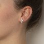 Pendientes caterina crystal plata chapada oro Victoria Cruz