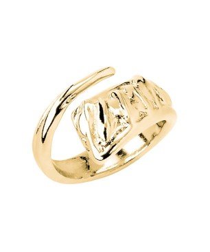 A Tickle With A Feather (Anillo Oro)