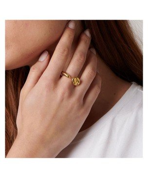 Clavo (Anillo Oro) Uno de 50