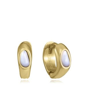 Pendientes VICEROY Mujer - Aro de Acero IP Dorado con Forma Irregular - Detalle Madreperla | 11 mm | 75439E01012