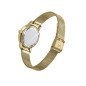 Reloj MARK MADDOX Greenwich Mujer - Brazalete de Acero IP Dorado Tipo Malla Milanesa - Esfera Verde | 5 ATM | MM1022-64 Reloj MARK MADDOX Greenwich Mujer - Brazalete de Acero IP Dorado Tipo Malla Milanesa - Esfera Verde | 5 ATM | MM1022-64